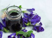 Minuman Bunga Telang, Si Kecil Biru dengan Segudang Manfaat