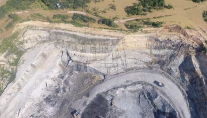 Uang Reboisasi Ada, Tapi Hutan Masih Gundul?