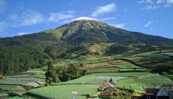 Wisata Negeri Sayur Sukomakmur: Surga Terasering di Lereng Sumbing