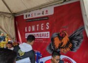 CFD Samarinda Meriah! Ada Kontes Ayam Hias di GOR Segiri