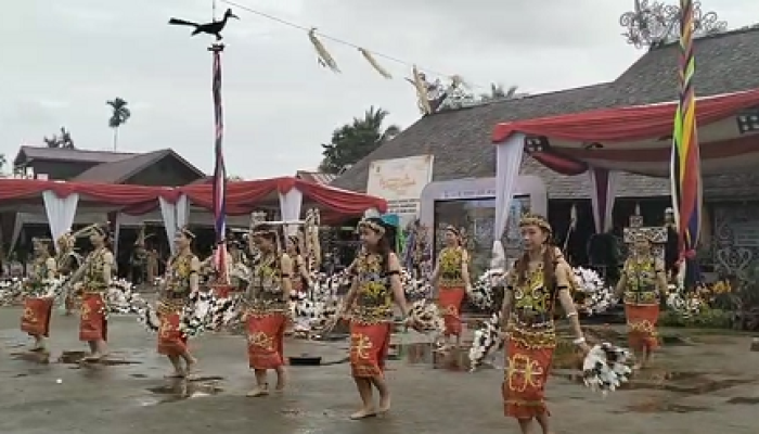 Desa Pampang Dibanjiri Warga, Festival Dayak Kenyah Sukses Besar