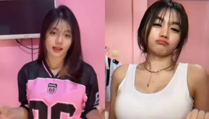 Link ITS Anggi Viral, Netizen Heboh Buru Video 2 Menit 47 Detik