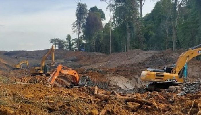 Hutan Unmul Rusak, DPRD: Ayo Jangan Cuma Diam Aja!