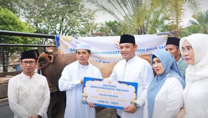Pemprov Kaltim Salurkan 21 Sapi Kurban Iduladha 2025